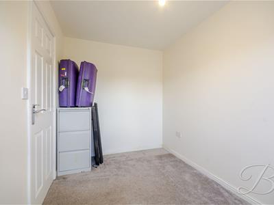 Picture 26